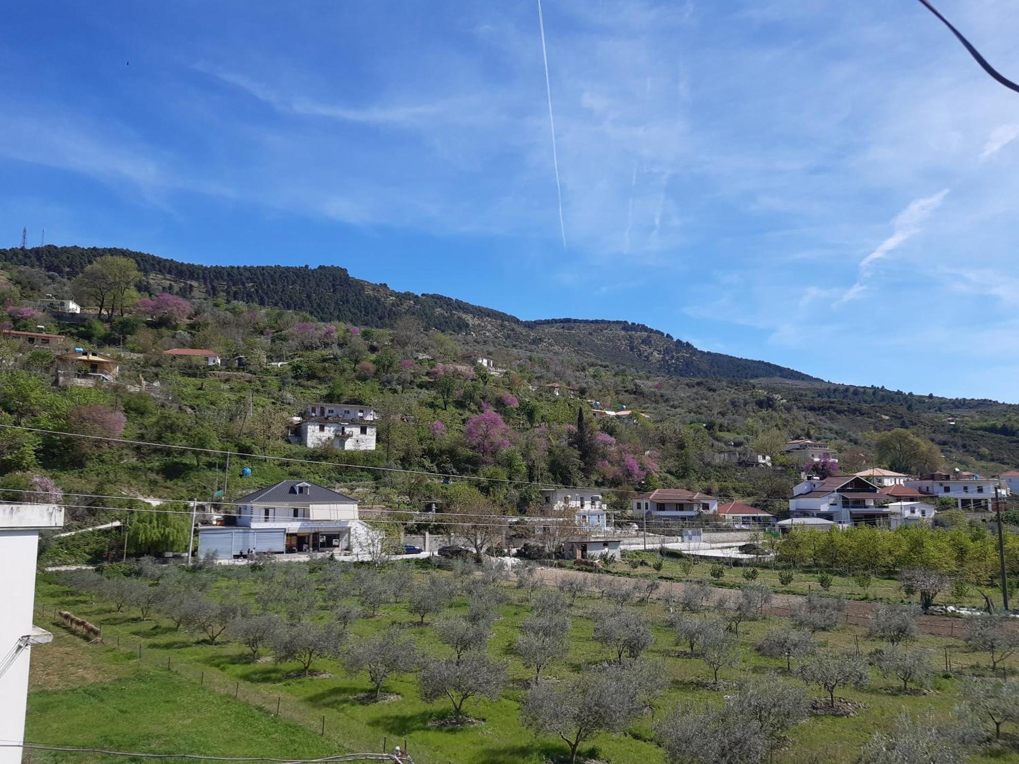 Villa Ari Berat Extérieur photo