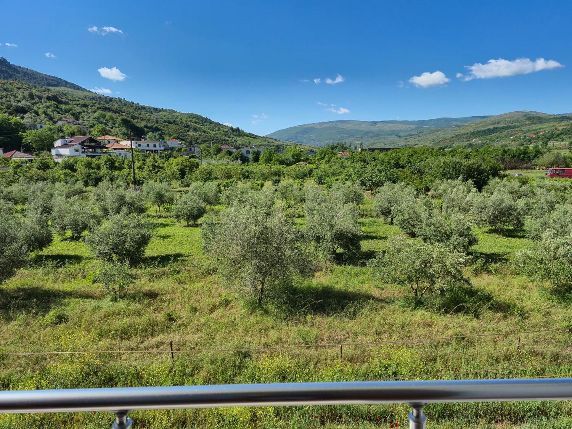Villa Ari Berat Extérieur photo